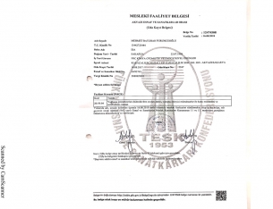 Professional Activity Document