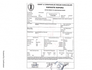 Tradesmen and Craftsmen Professional Organizations Capacity Report